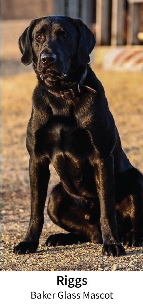 Riggs_Dog-04
